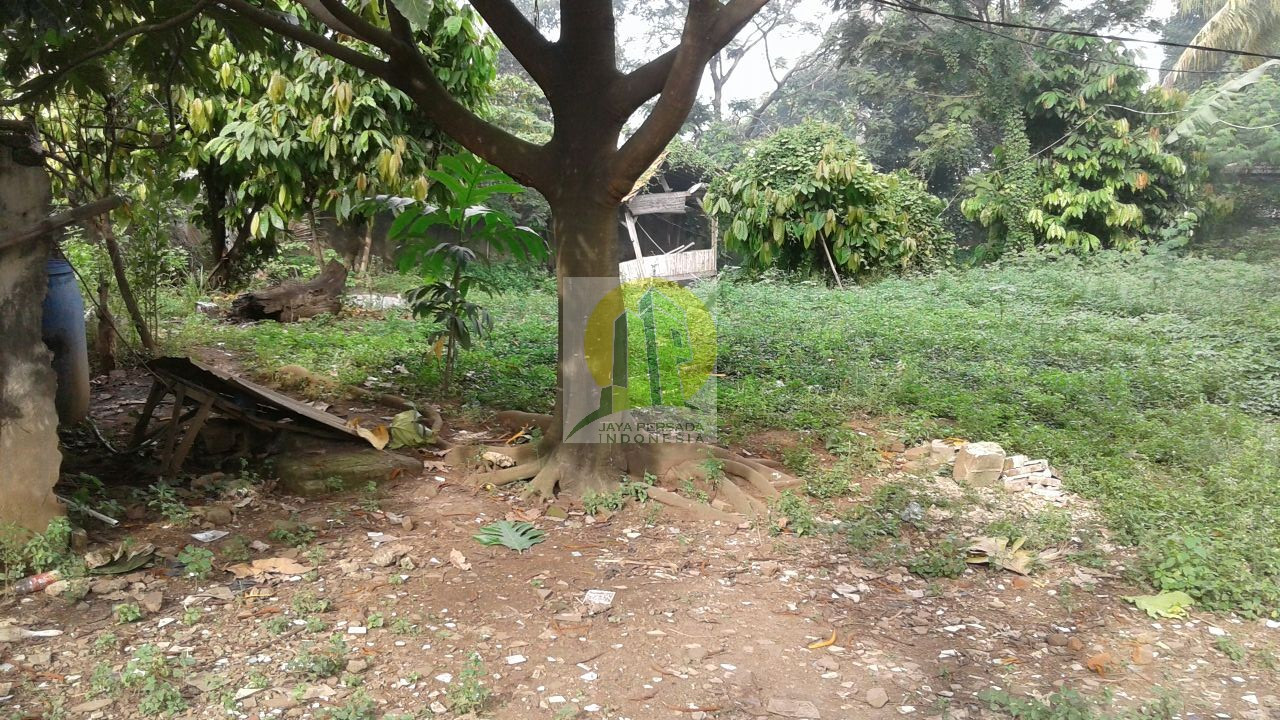 Tanah dijual daerah Rajeg.jpg