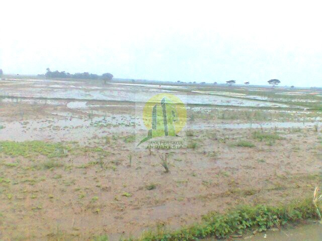Tanah Luas dijual daerah Cikarang.jpg