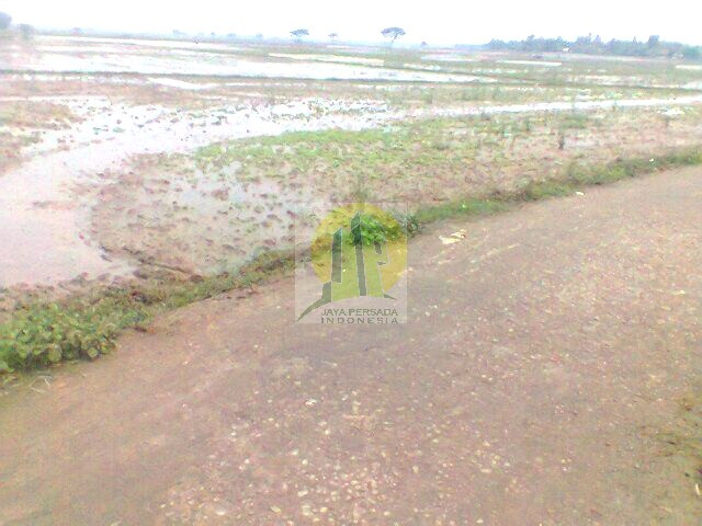 Dijual Tanah Luas di Cikarang.jpg