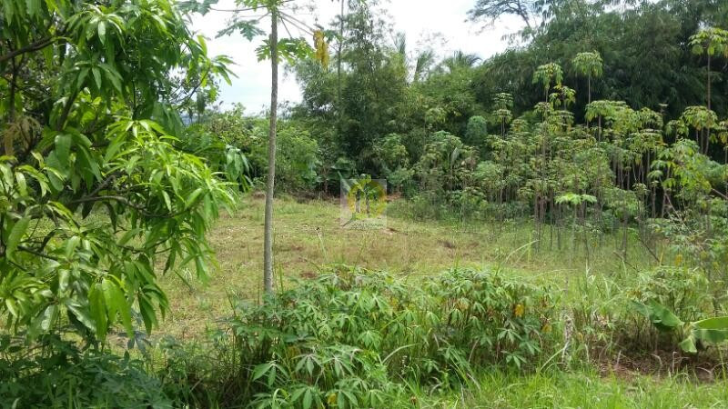 Tanah dan Rumah dijual di Cimanggis Bojong Gede.jpg