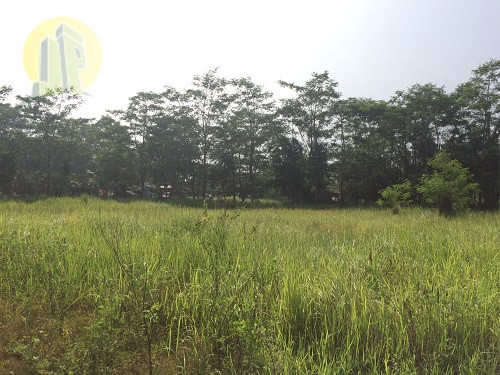 Tanah 2,8ha di Bantar Gebang 1.JPG