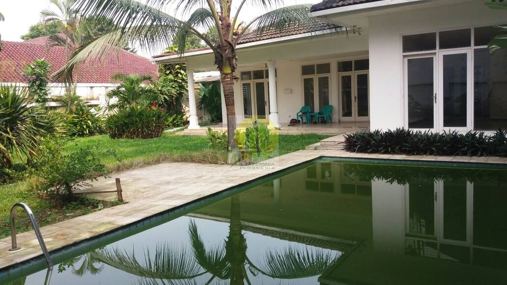 Halaman Belakang dan Kolam Renang Rumah Mewah disewakan di kemang Jaksel.jpg