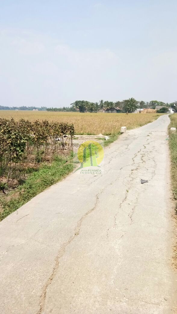 Kavling Suila di Tambelang Bekasi.jpg