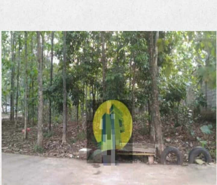 Tanah kebon di kota Bekasi