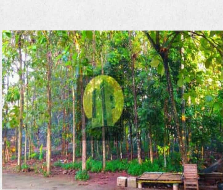 Tanah kebon di kota Bekasi