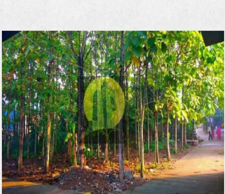 Tanah kebon di kota Bekasi