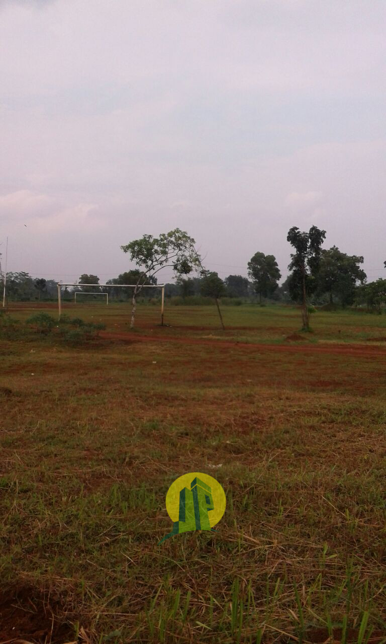 IMG-20180309-WA0014.jpg