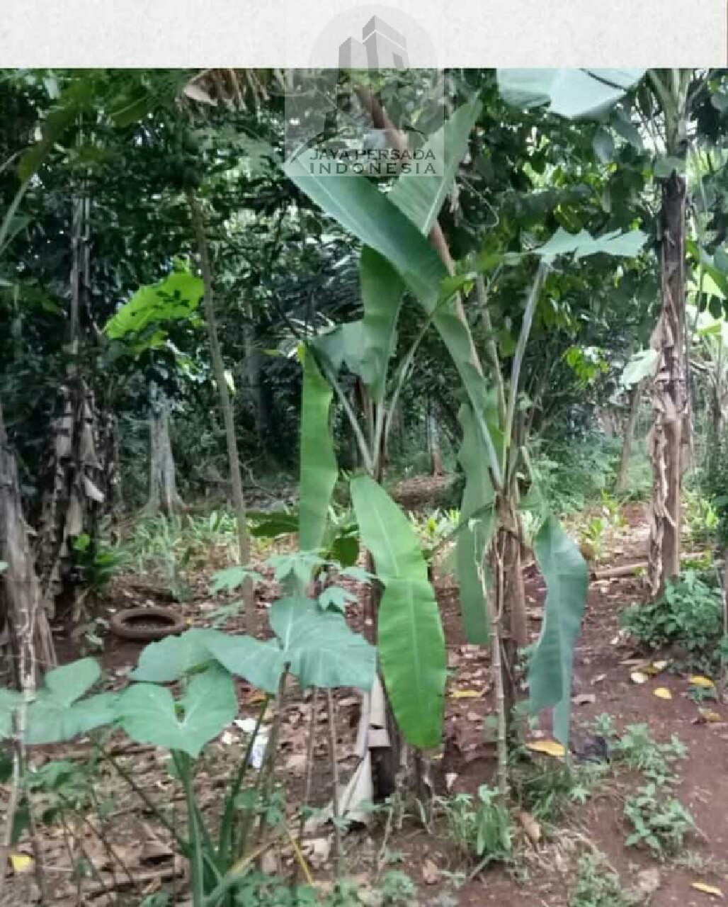 Tanah Jonggol Bogor