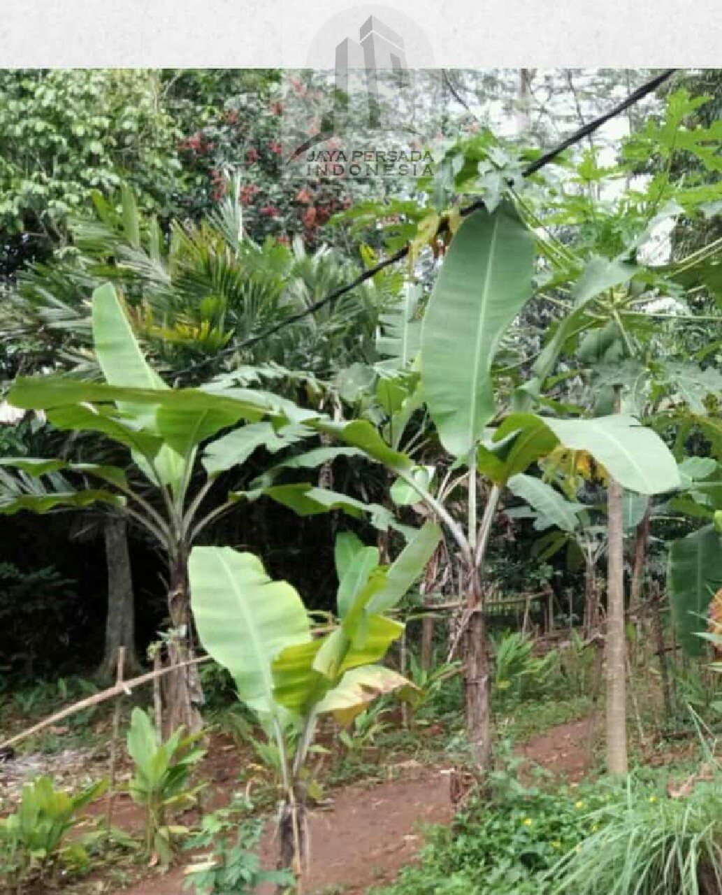 Tanah Jonggol Bogor