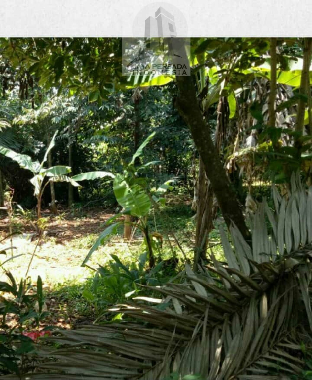 Tanah Jonggol Bogor
