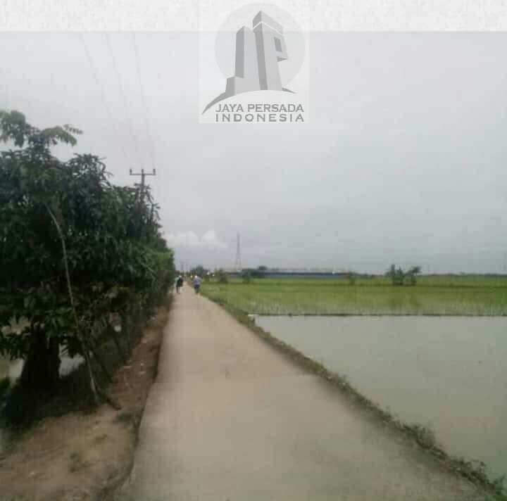 Tanah Sukatani Cikarang