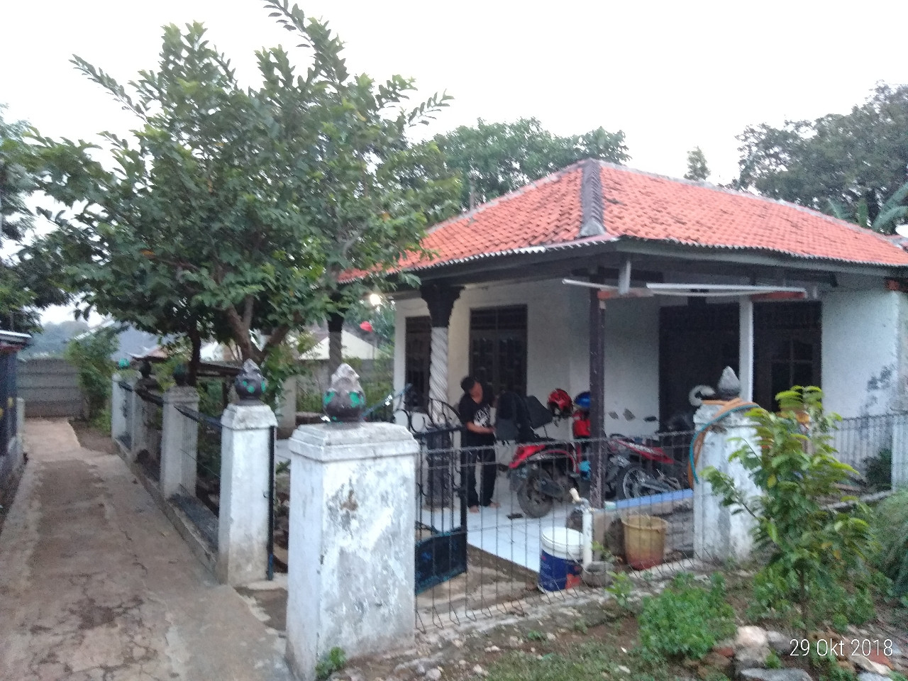 IMG-20181128-WA0080.jpg