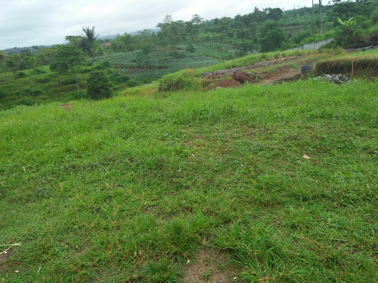 IMG-20181202-WA0114.jpg