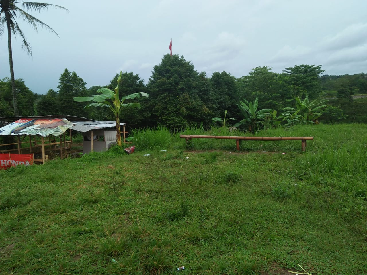 IMG-20181202-WA0117.jpg