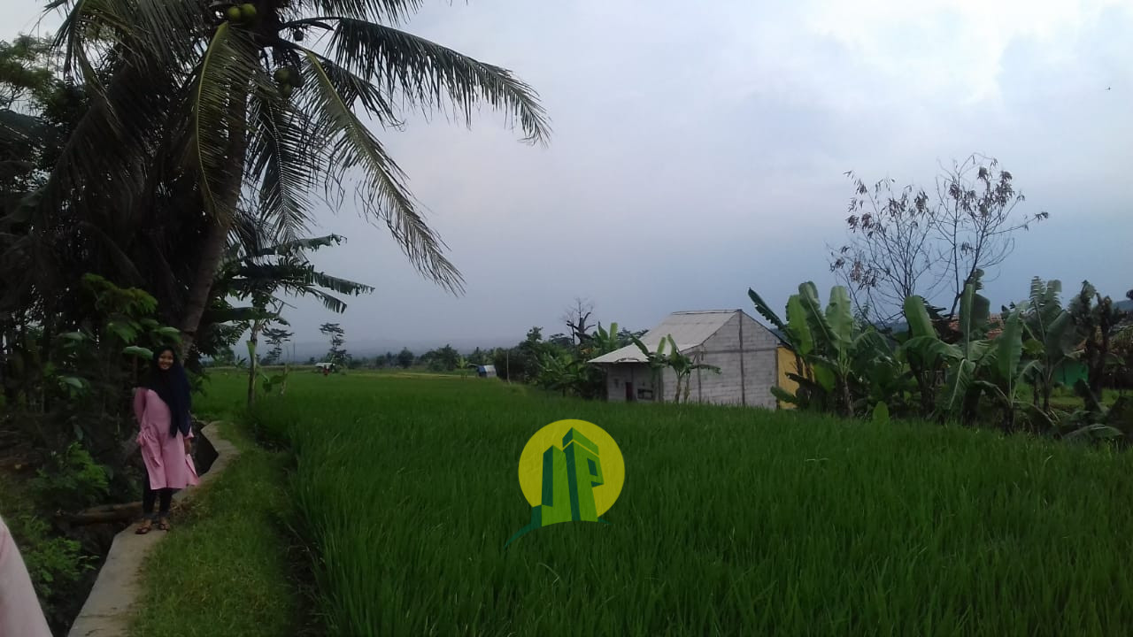 Tanah lahan sawah aktif di Tenjolaya Bogor