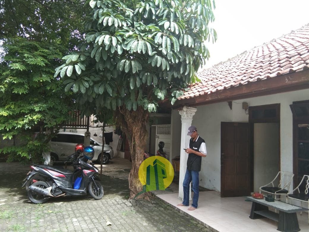 WhatsApp Image 2019-01-22 at 15.07.42.jpeg
