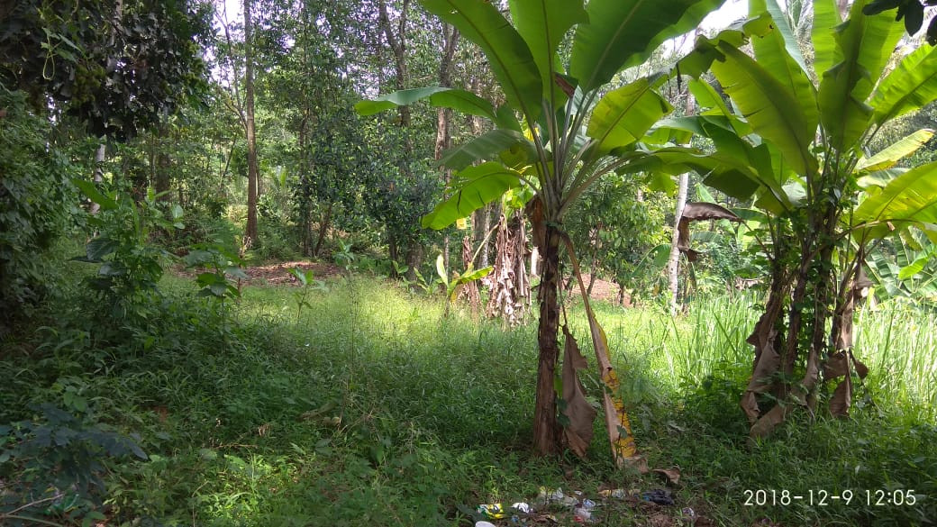 IMG-20190126-WA0187.jpg