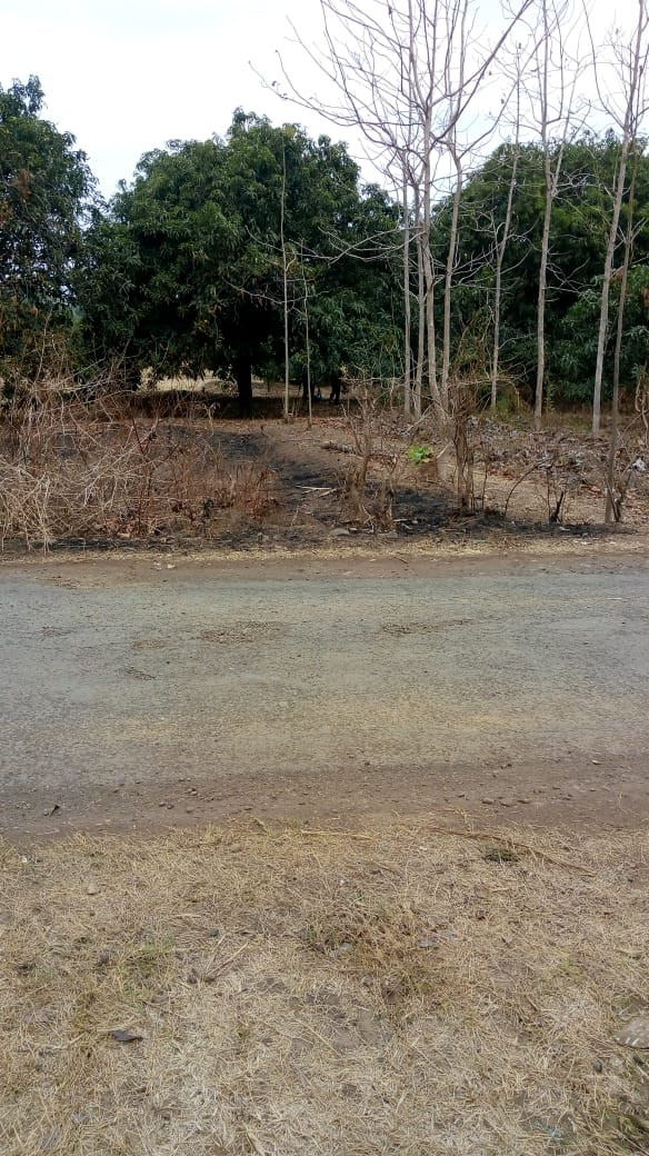 IMG-20191117-WA0053.jpg