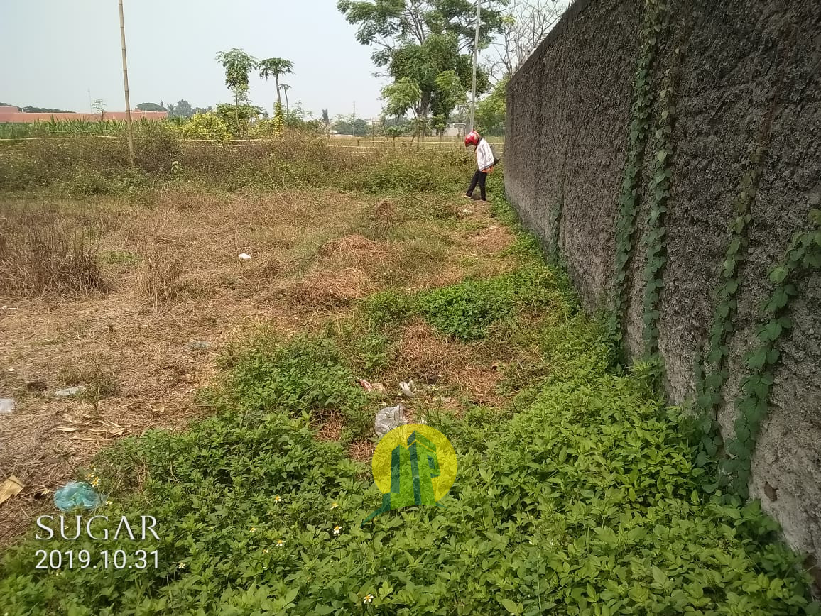 Tanah di Sepatan Kabupaten Tangerang