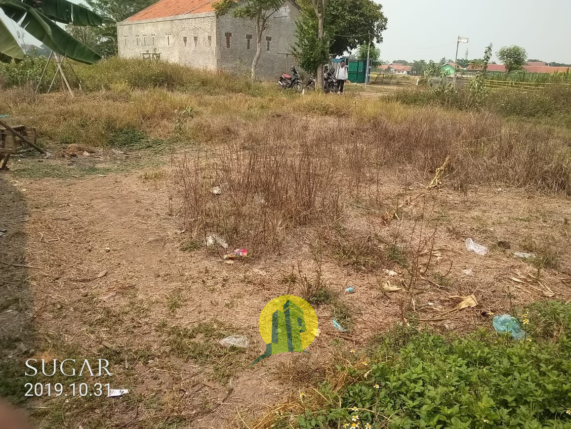 Tanah di Sepatan Kabupaten Tangerang
