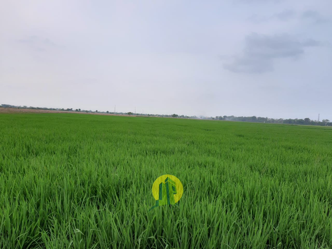 Tanah dijual di Sukamaju Tambelang Bekasi
