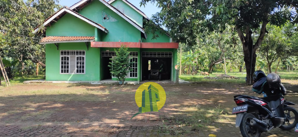 Rumah Tanah Luas di Teluk Bango Batujaya Karawang