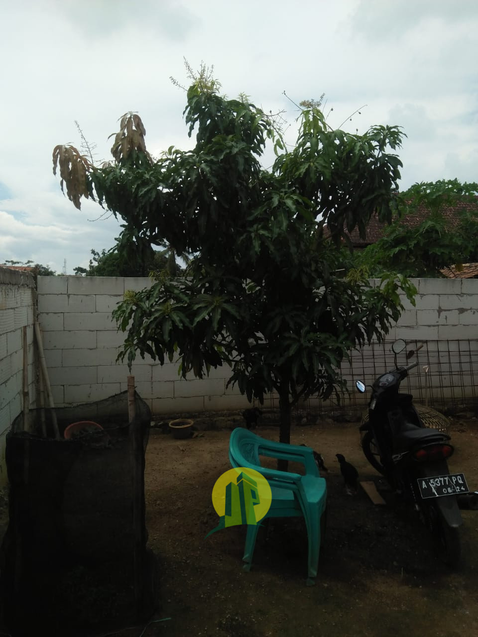 Rumah Kiera Rahayu Serang Banten (10).jpeg