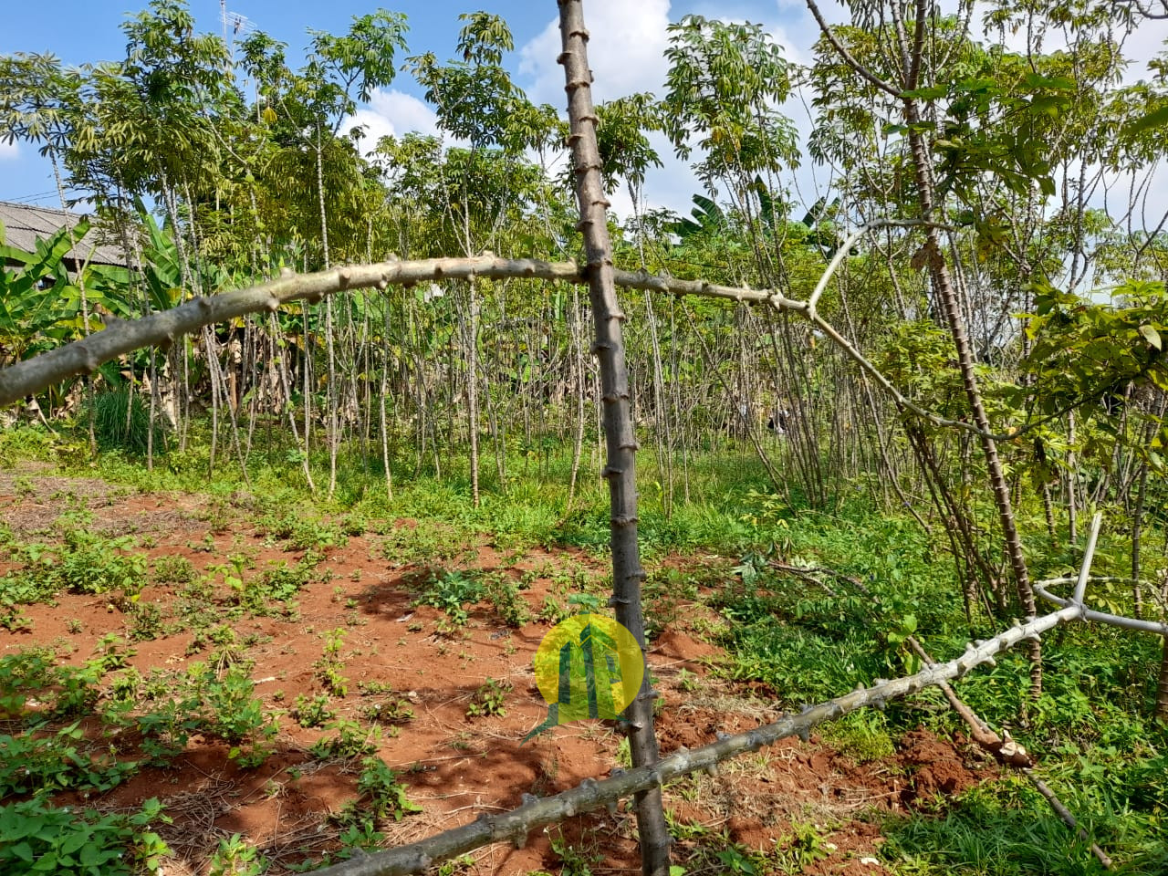 Tanah seluas 5784m2 di Purwakarta