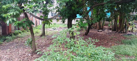 tanah dijual pondok kopi