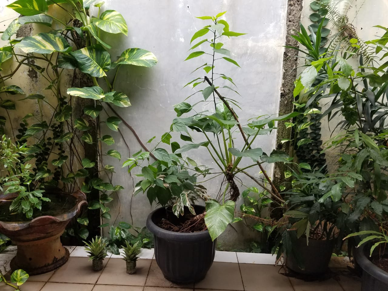 WhatsApp Image 2022-07-24 at 21.00.38.jpeg