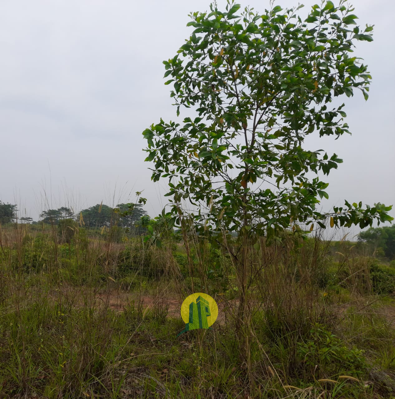 Tanah Kavling (7).jpeg