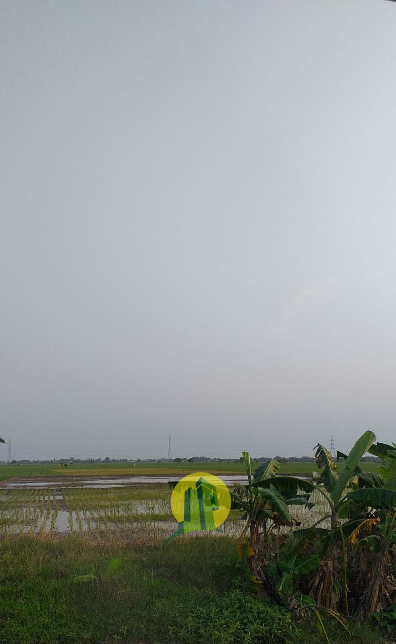 Tanah Sawah (3).jpeg