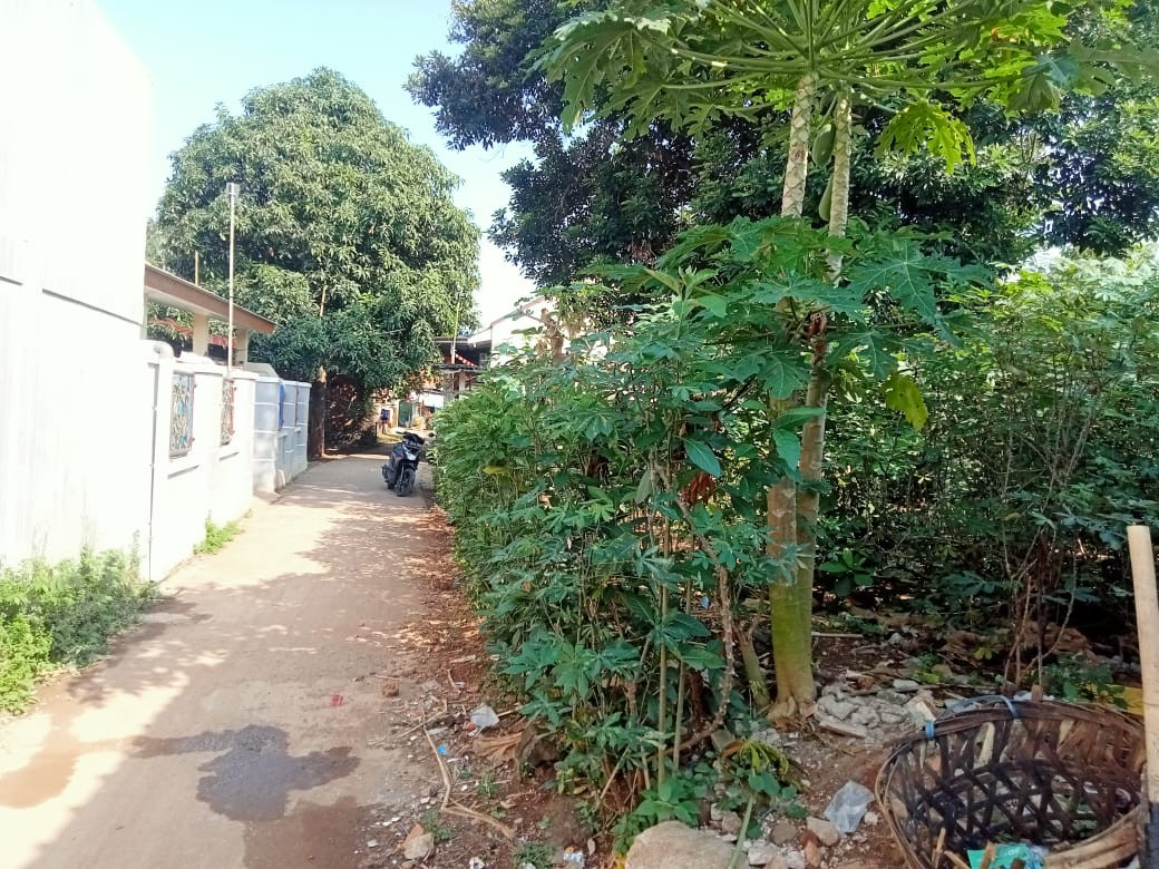 Tanah Darat.jpeg