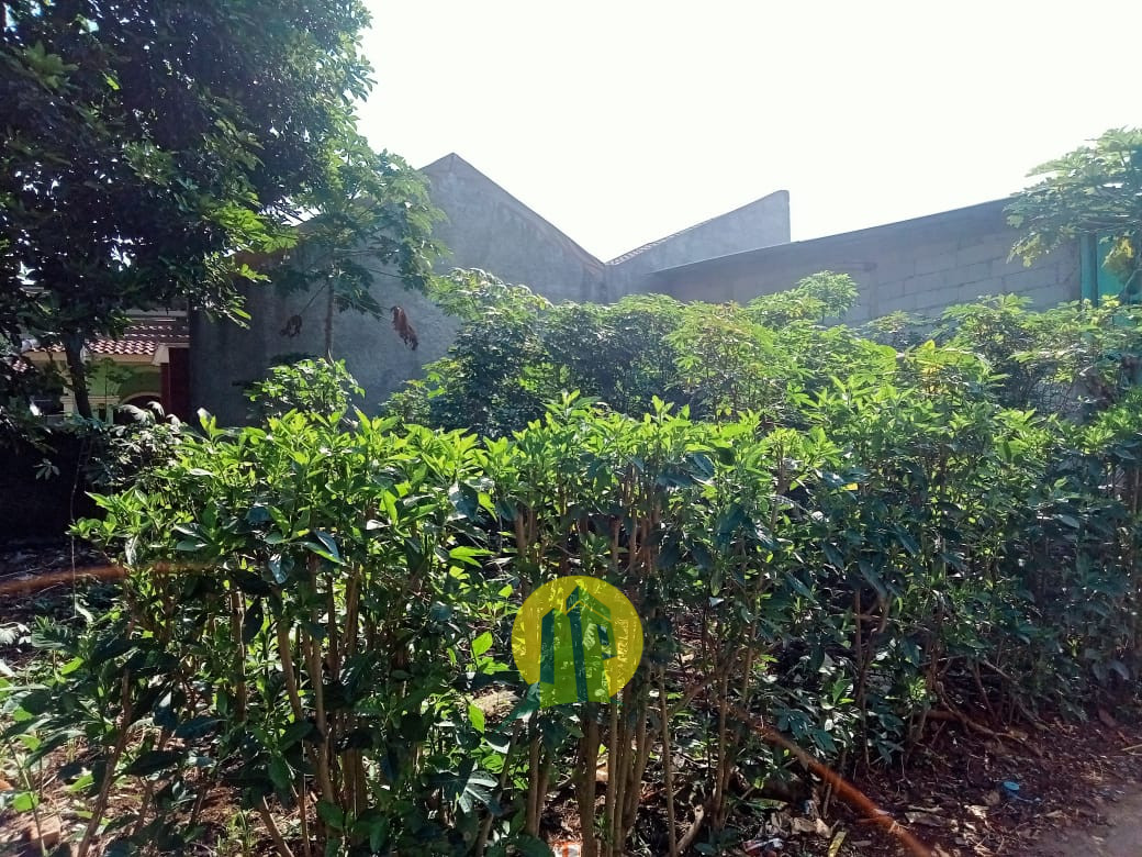 Tanah Darat (2).jpeg