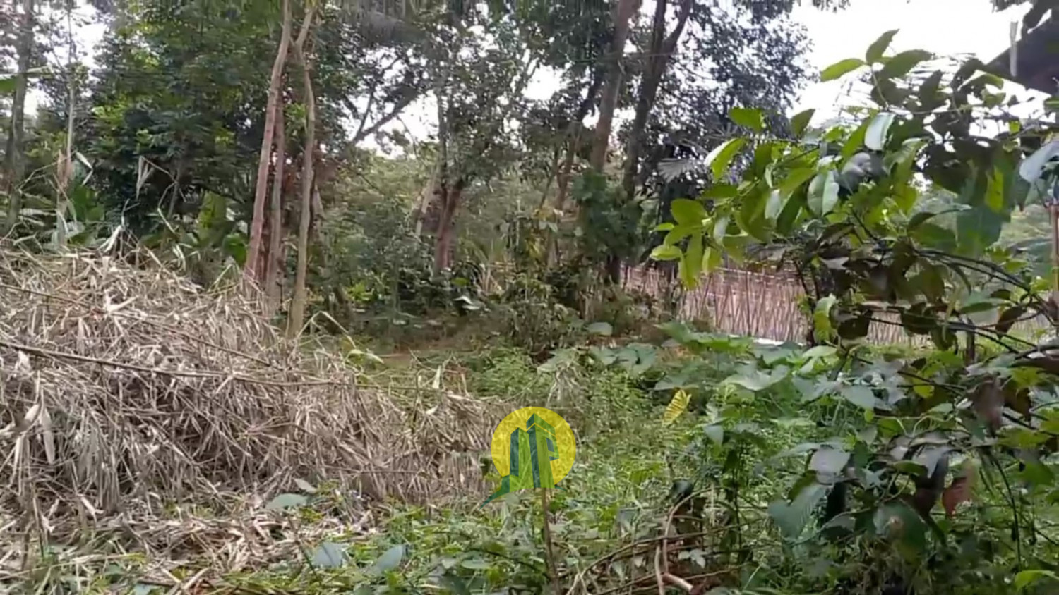 Tanah Darat Kebun Manggis2.jpeg