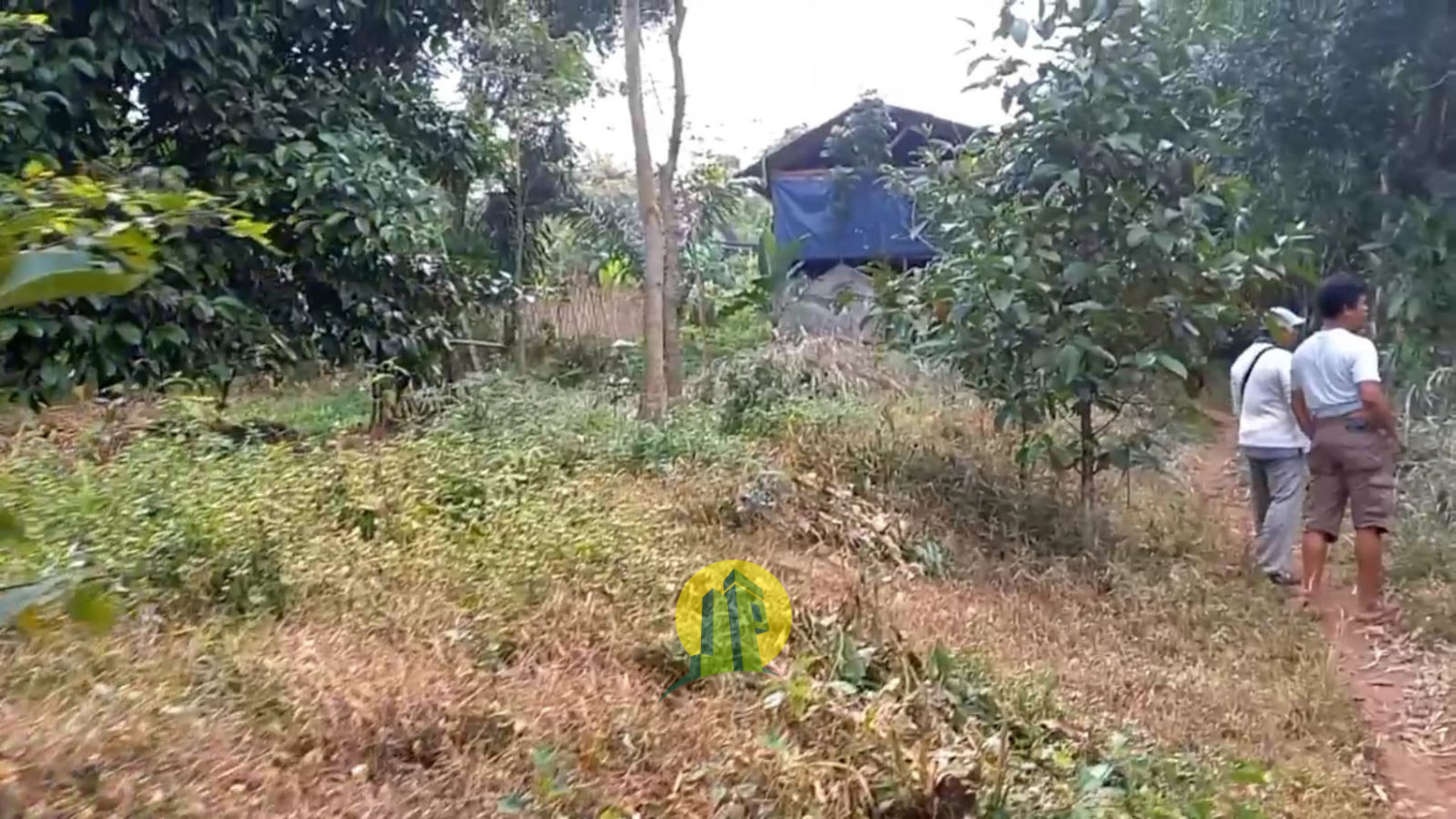 Tanah Darat Kebun Manggis4.jpeg