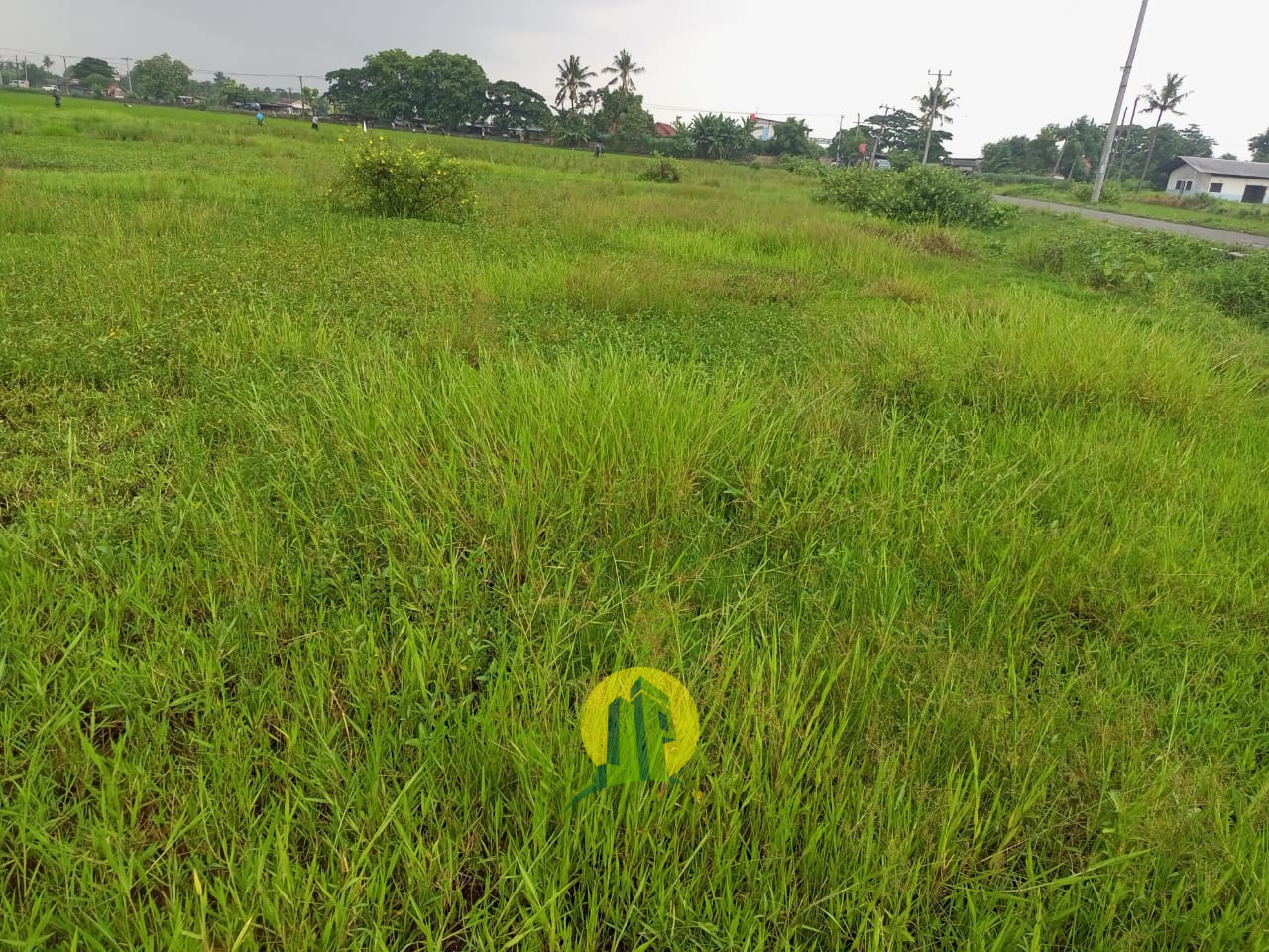 Tanah Sawah2.jpeg