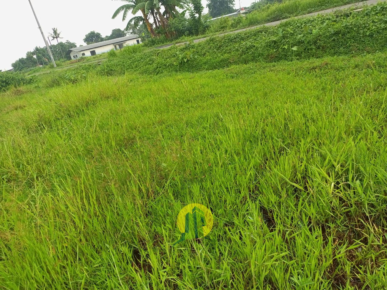 Tanah Sawah3.jpeg