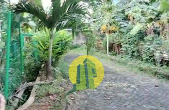Tampak lahan