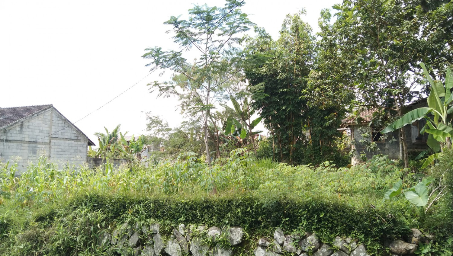 Kavling Tanah Sukabumi.jpeg