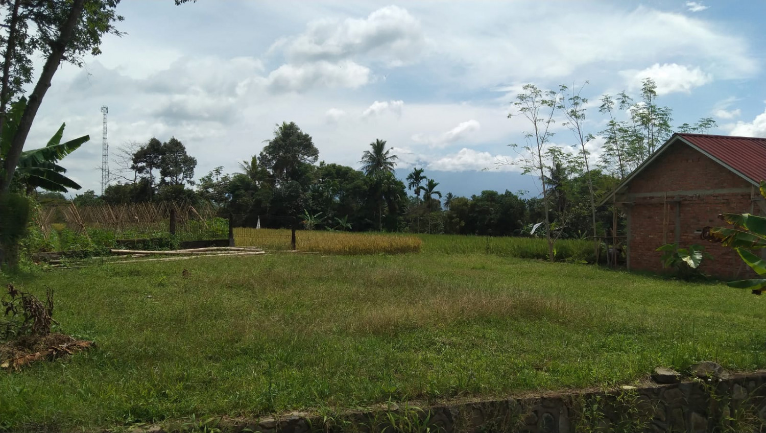 Tanah Kp Cipanas.jpeg