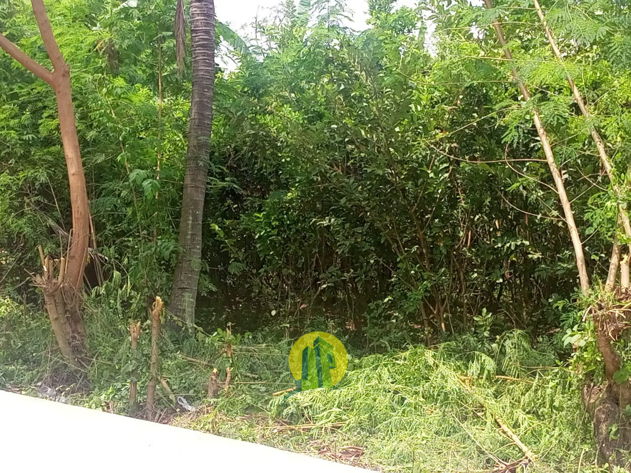 Tanah Karawang 1.jpeg