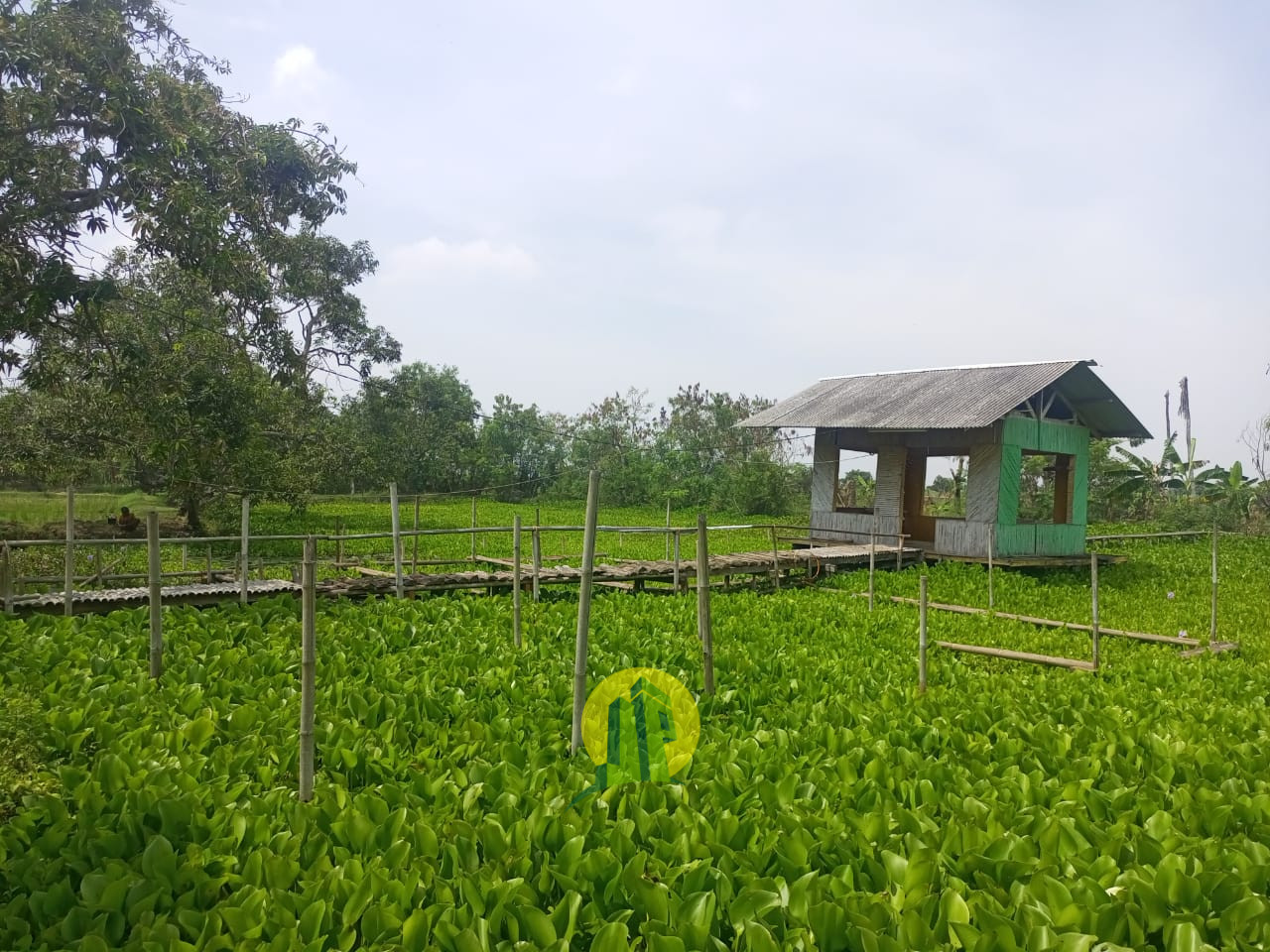 Tanah Karawang 5.jpeg