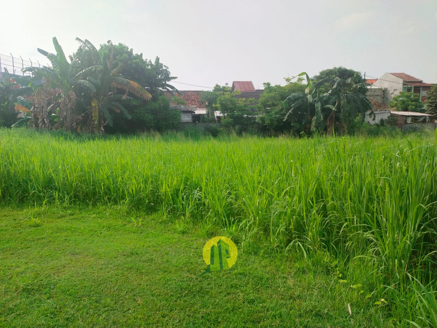 IMG-20230522-WA0053.jpg