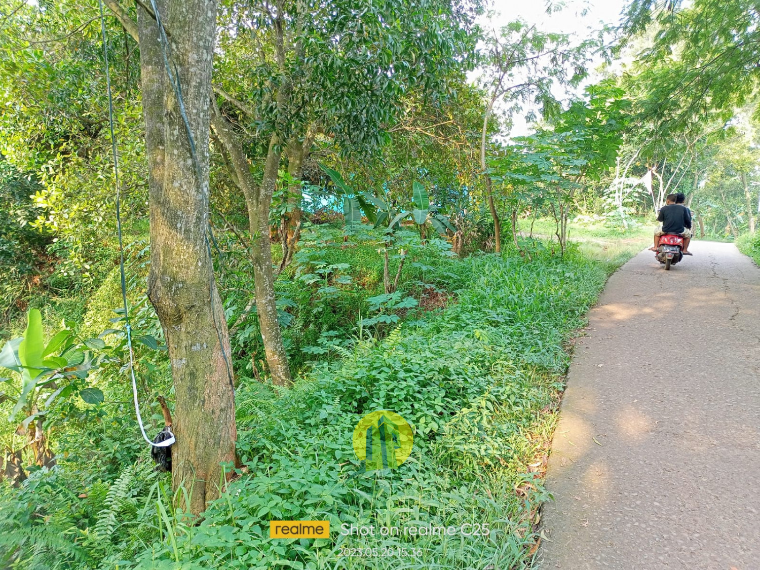 Tanah Kp Ciledug 5.jpeg