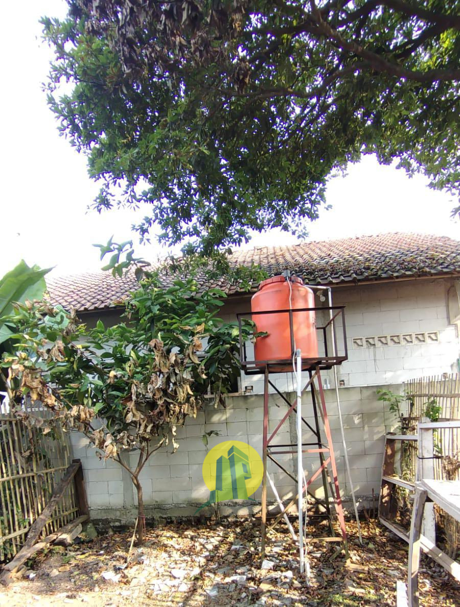 IMG-20230603-WA0055.jpg
