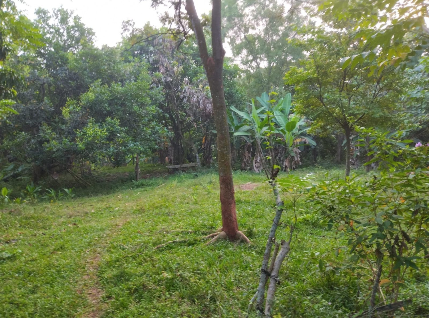 Tanah Purwakarta.jpeg