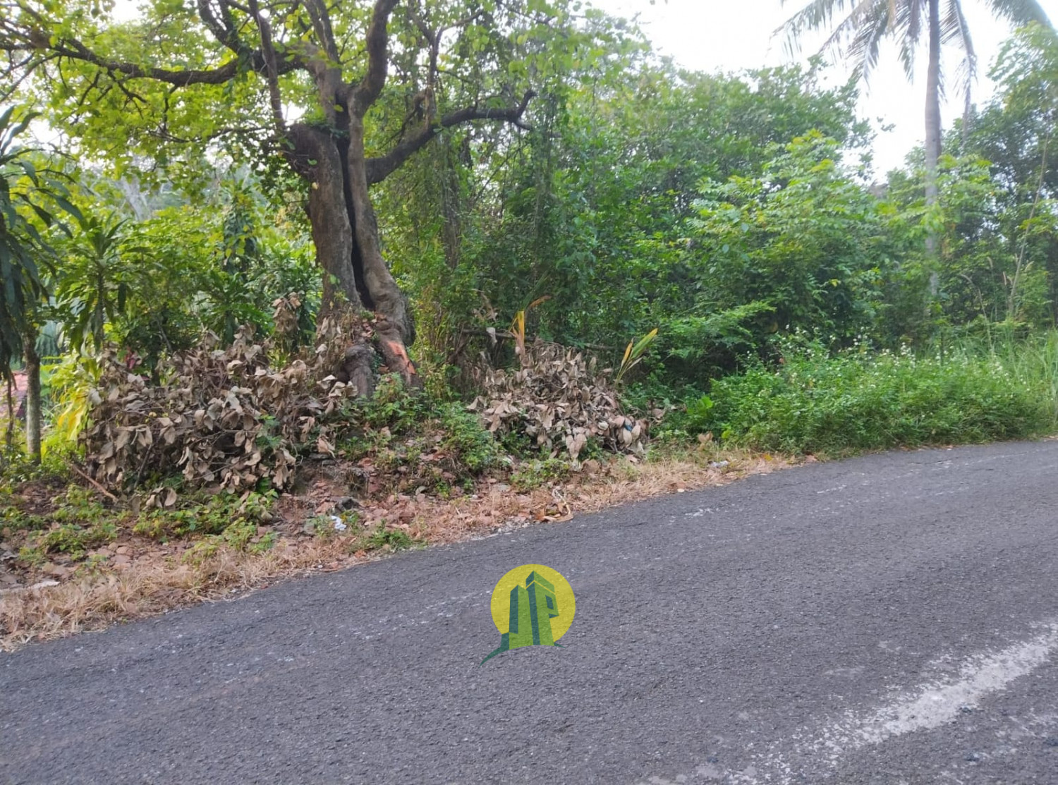 Tanah Purwakarta 1.jpeg