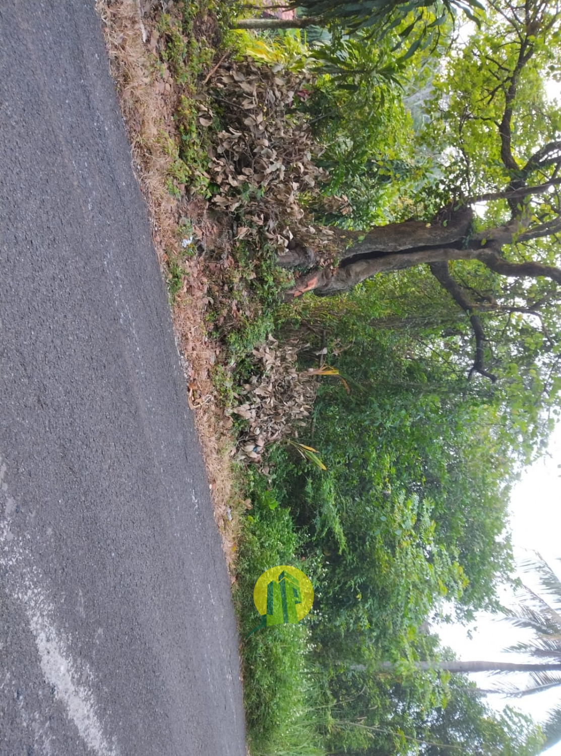 Tanah Purwakarta 3.jpeg