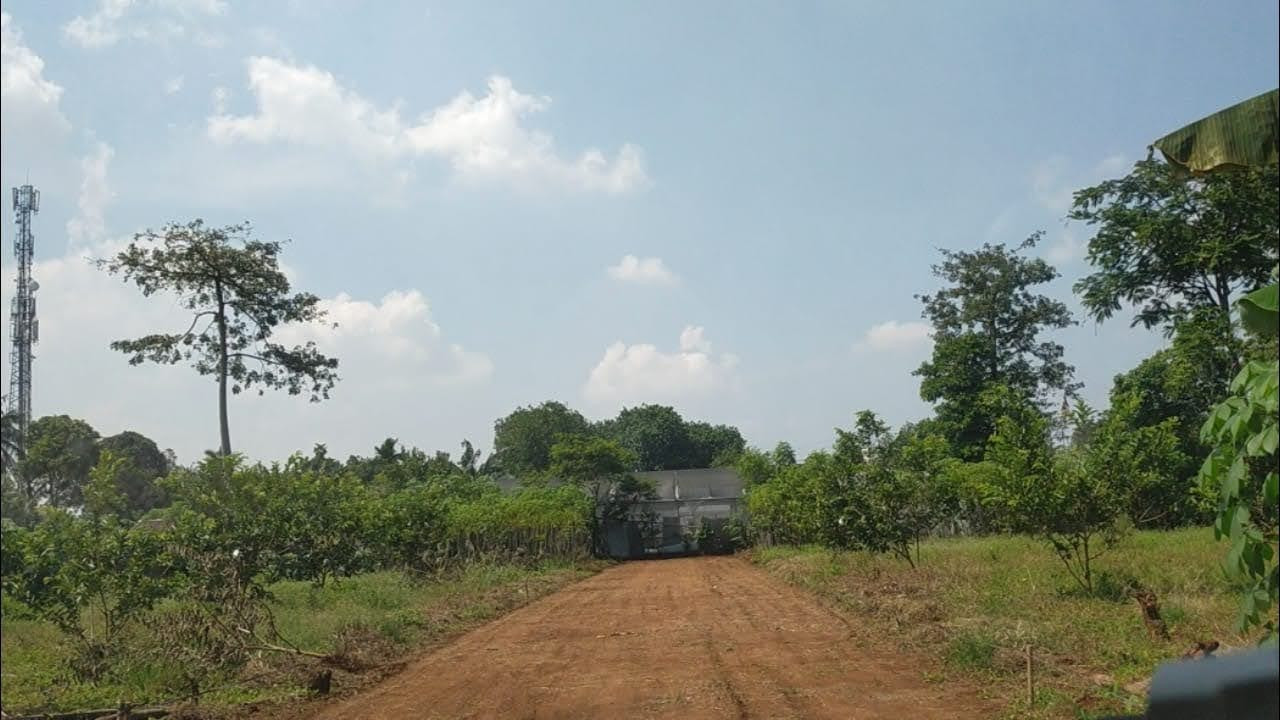 IMG-20230613-WA0064.jpg